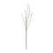 Pussy Willow Stem by Ashland®